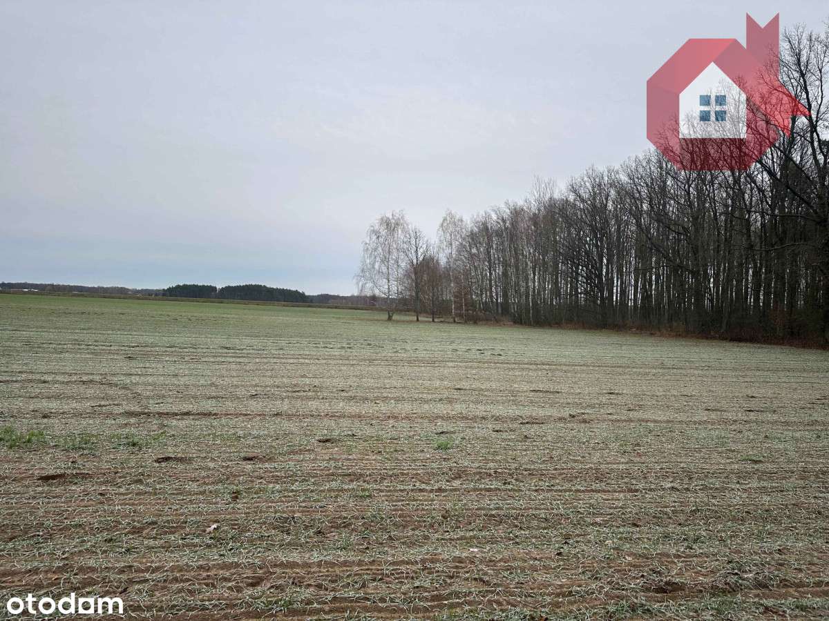 Zadrzewiona działka 2100 m² - 10 minut od Zegrza-6