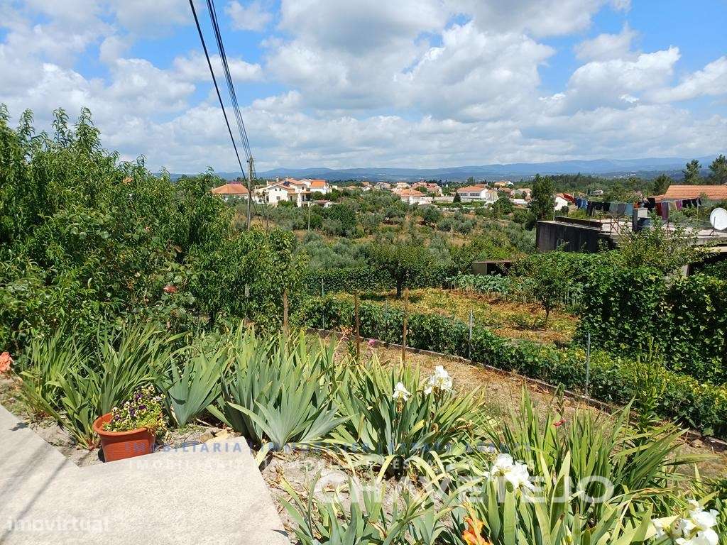 Moradia de Campo com Terreno, Furo de Água e Olival-33