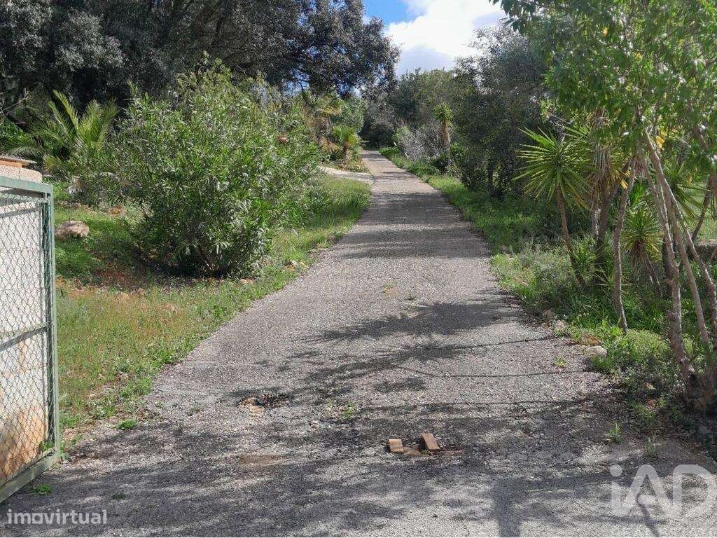 Terreno em Paderne de 9560,00 m2 - Grande imagem: 3/24