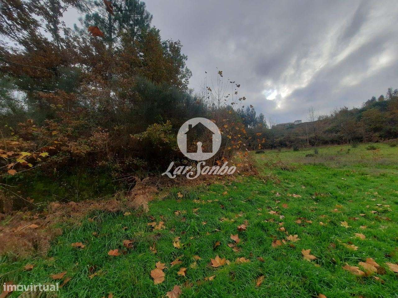 Terreno rústico Basto S. Clemente Celorico de Basto - Grande imagem: 4/4