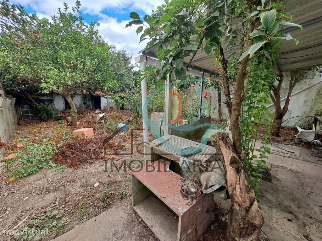 Moradia nas Amoreiras em Grândola - Grande imagem: 4/24