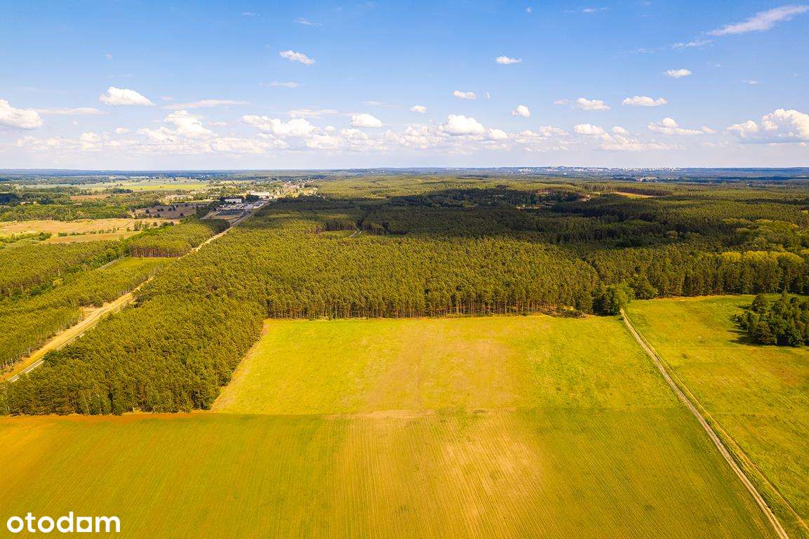 Nowe osiedle przy lesie - OKAZJA! - Pełny obrazek: 4/11