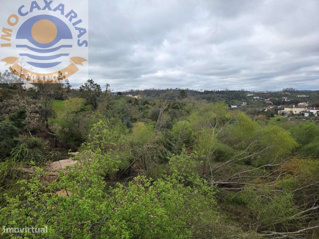 Terreno soalheiro e plano a 2 min de Caxarias e 10 min de Ourém-7