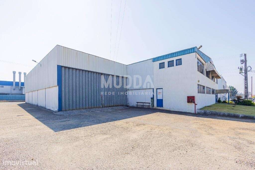 Armazém no Centro ZI Albergaria-a-Velha em Valorização Constante! - Grande imagem: 4/30