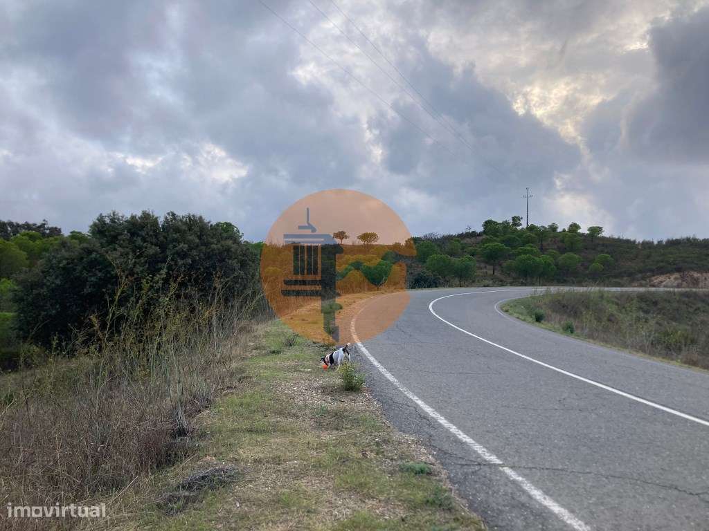 TERRENO COM 32440 M2 COM ARVORES - VISTA - POSSIBILIDADE DE CONSTRU... - Grande imagem: 3/33