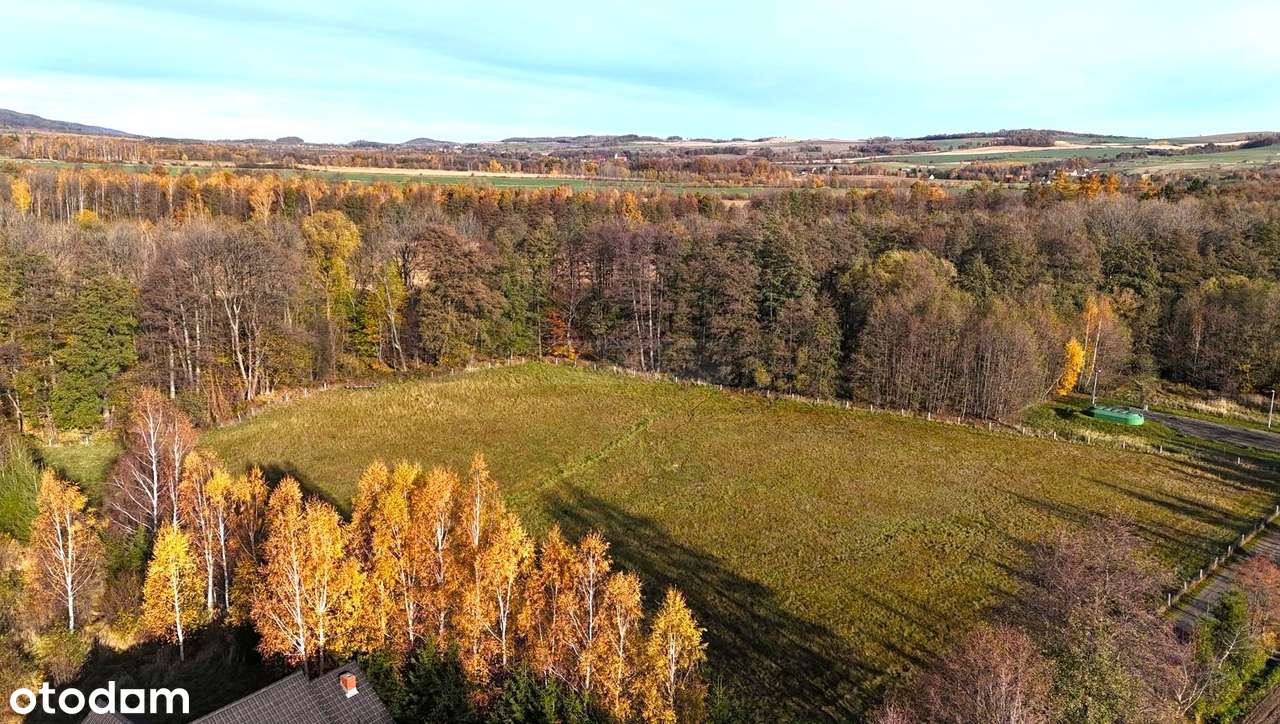 Działka budowlana o pow. 5000 m2/warunki zabudowy! - Pełny obrazek: 4/7