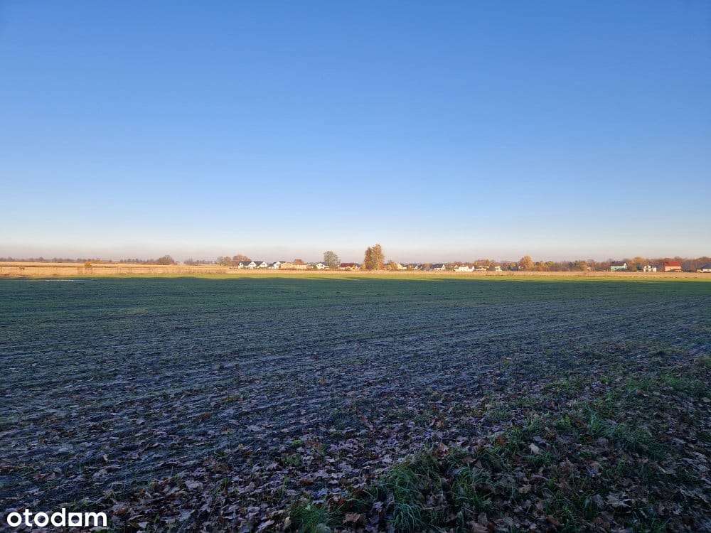 Nieborowice działka budowlana-2
