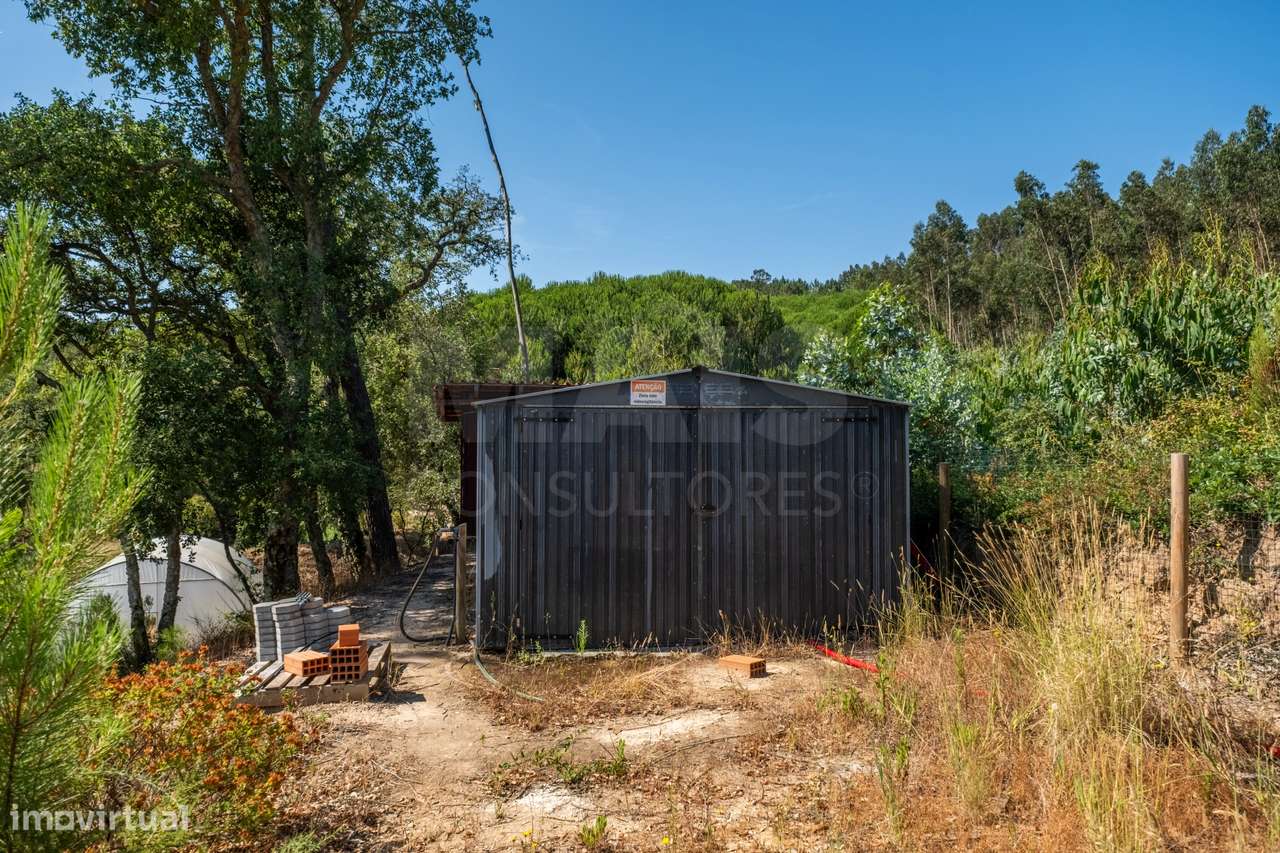 Terreno Agrícola na Fanadia | 16.100 m² de Potencial e Infraestrutu...-23