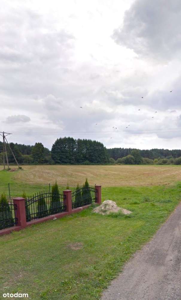 Dom w Trzcielu, duży budynek gospodarczy, ogród - Pełny obrazek: 5/16