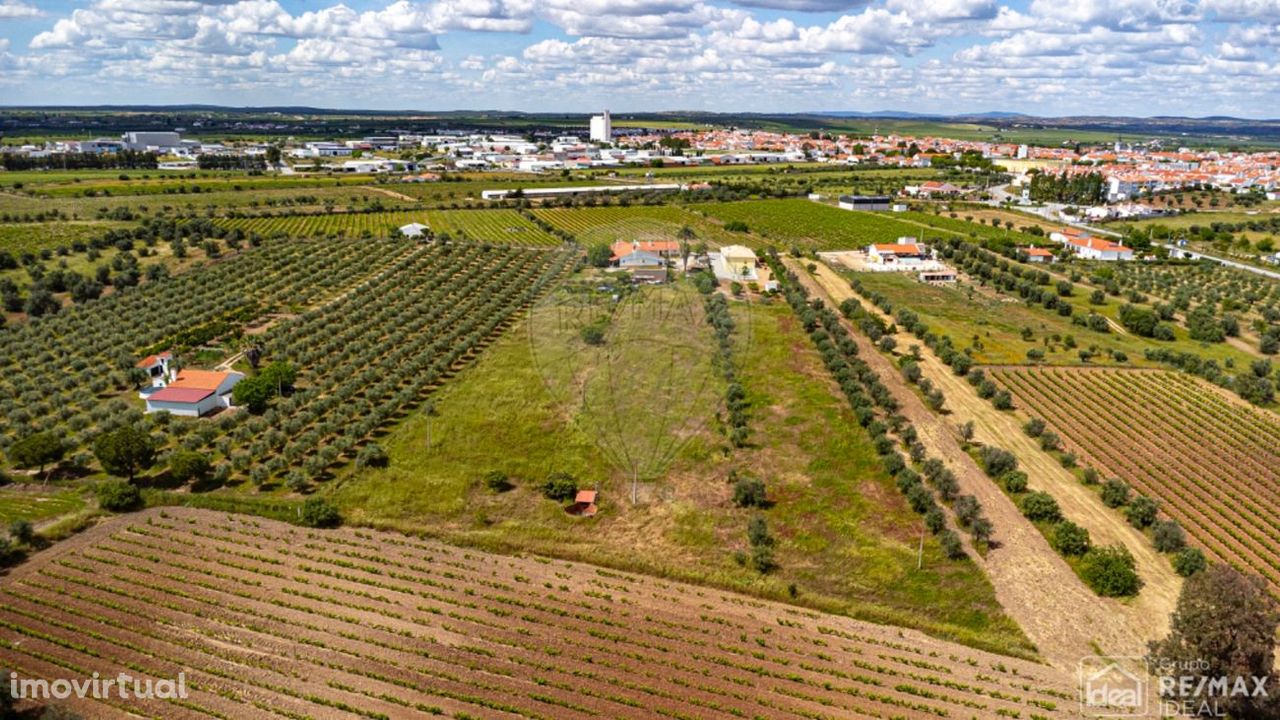 Terreno  para venda