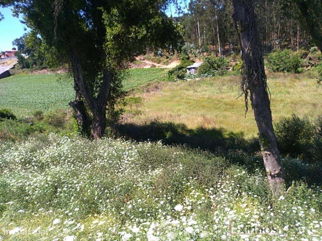 Terreno com vistas de rio, em Retorta - Grande imagem: 4/7