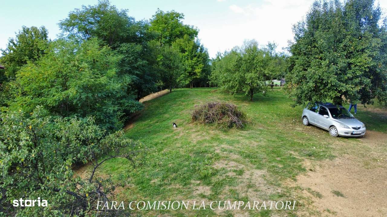 TEREN 1869 MP, CADRU NATURAL SUPERB, TOATE UTILITATILE-6