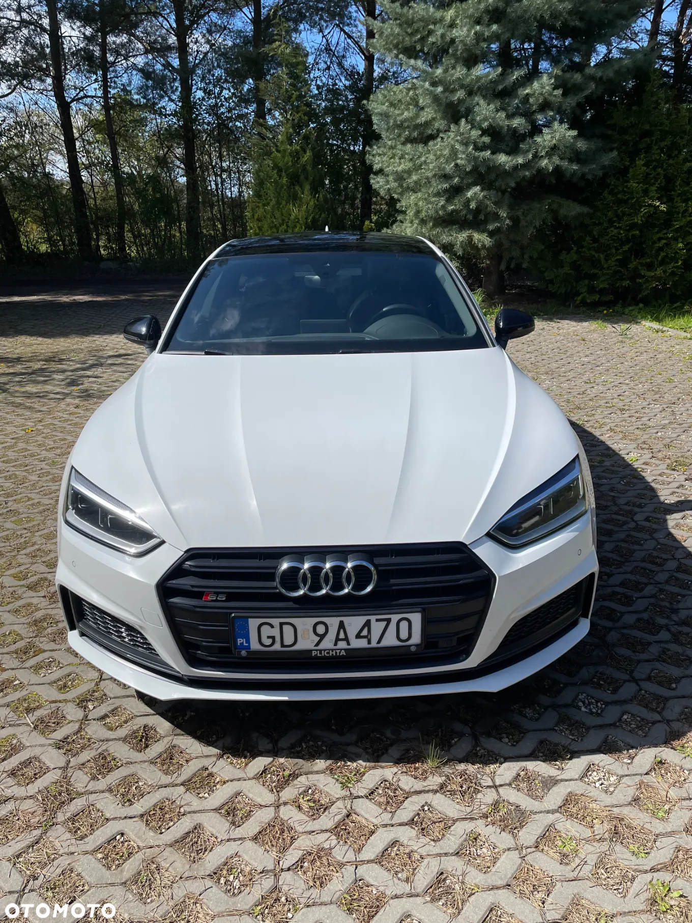 Audi S5 TDI Quattro Tiptronic - 2