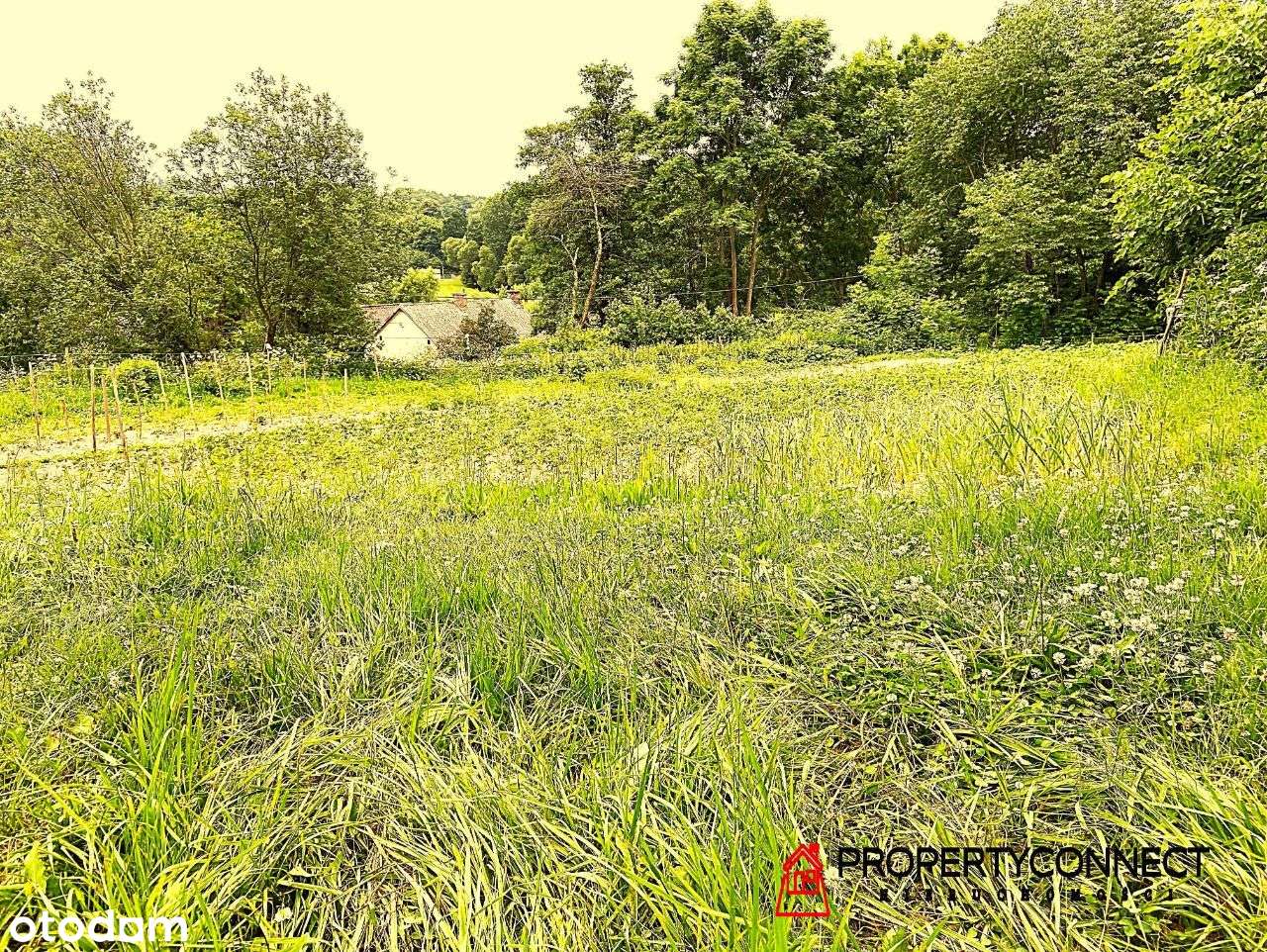 Działka rolna z WZ na skarpie 26900 m2 - Pełny obrazek: 5/7