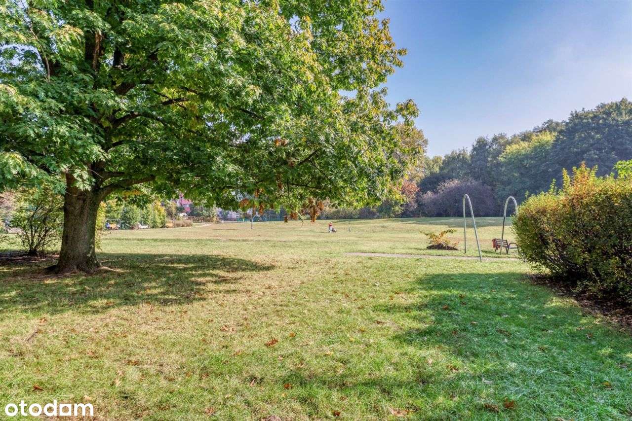 Widok na park! Świetna lokalizacja.-17