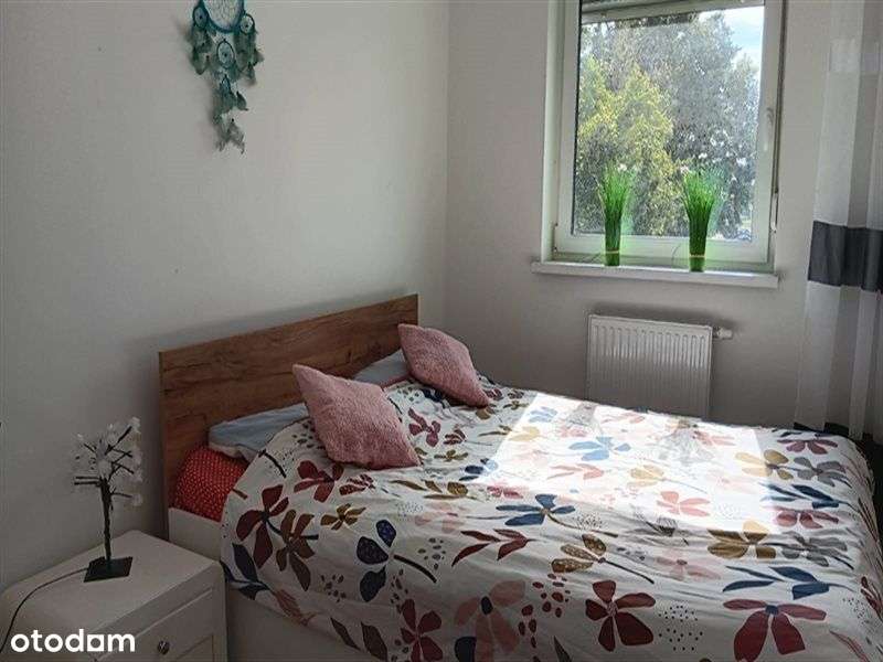 3Pokojowe Mieszkanie 1Piętro-Winda-2