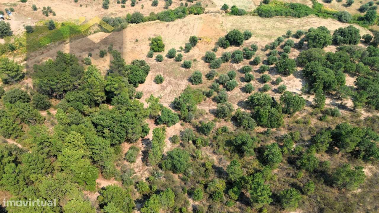 Terreno Rústico  Venda em Salgueiro do Campo,Castelo Branco - Grande imagem: 5/11