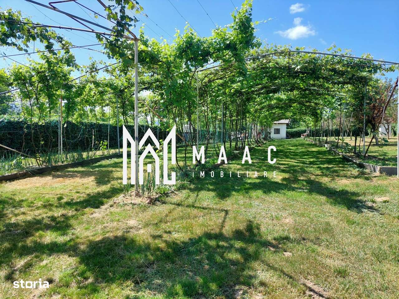 Teren | Intravilan 2.166 Mp | Construcție existenta |  Pădurea Dumbra - Imagine principală: 3/7