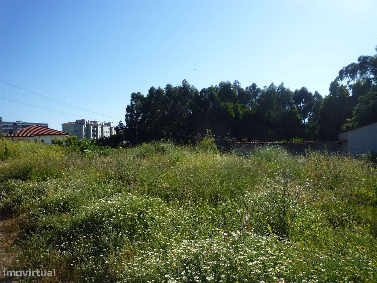 2 Lotes de terrenos para venda em Canelas - Grande imagem: 2/7