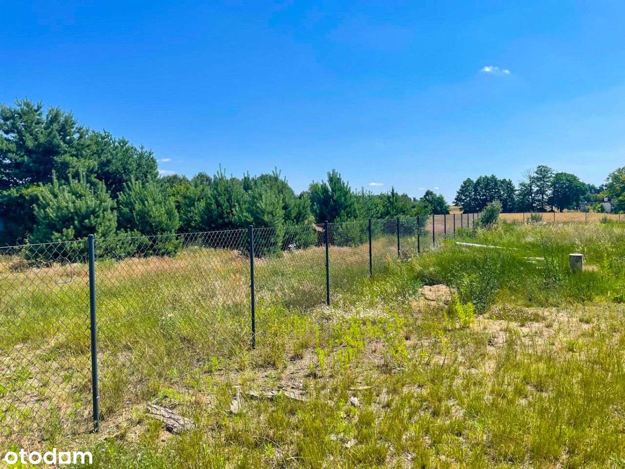 Działka pod FIRMĘ lub DOM ! ul. Zęborzycka 7 - Pełny obrazek: 2/6