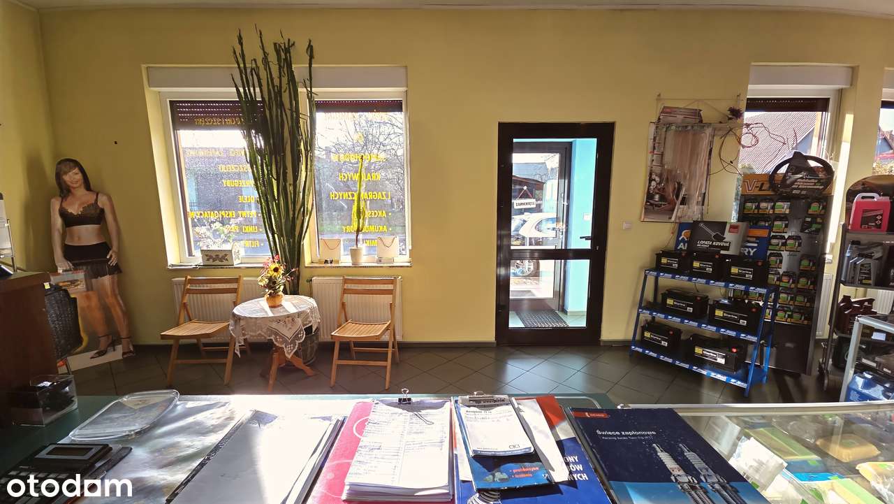 Sklep motoryzacyjny z garażem i gruntem 100 m² - 20 lat na rynku - Pełny obrazek: 4/20