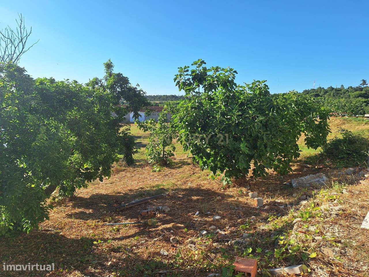 Moradia T3 com 99 m² e terreno de 4.179 m² em Covas de Coina-18