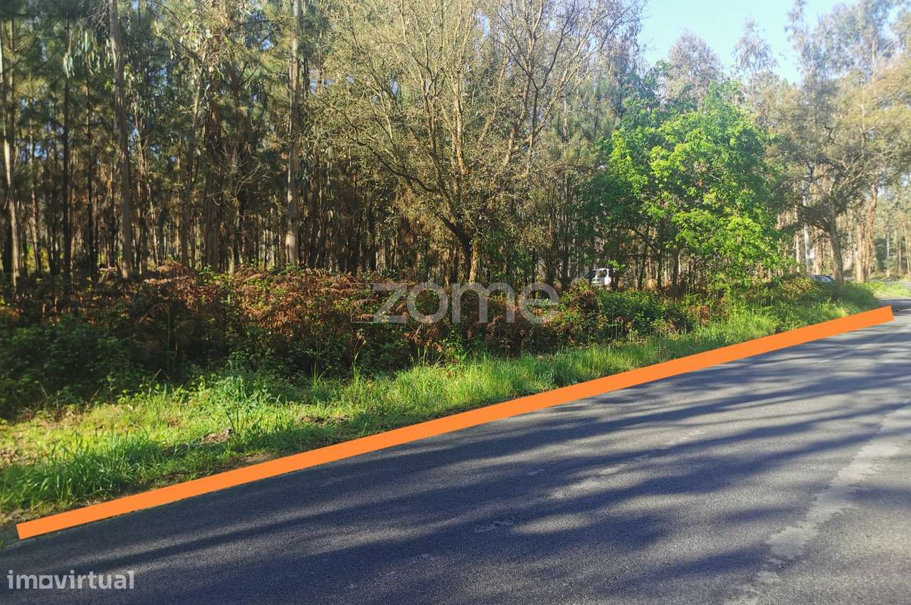 Terreno, com acesso betuminoso, gaveto, 2 frentes, Recardães, Águeda - Grande imagem: 3/15