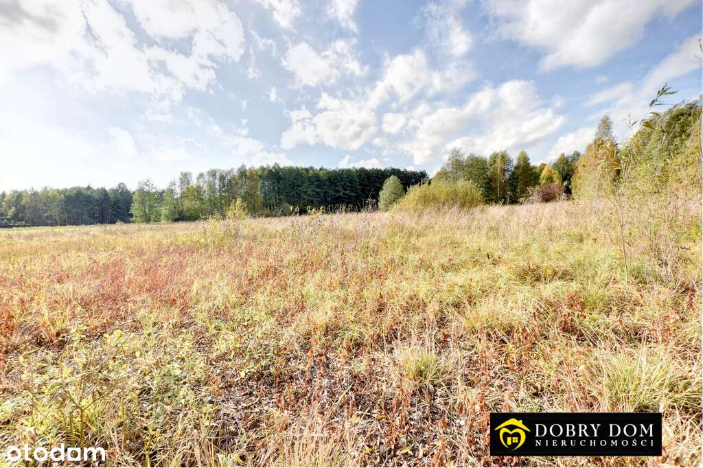 **Działki Hryniewicze przy lesie** - Pełny obrazek: 4/13