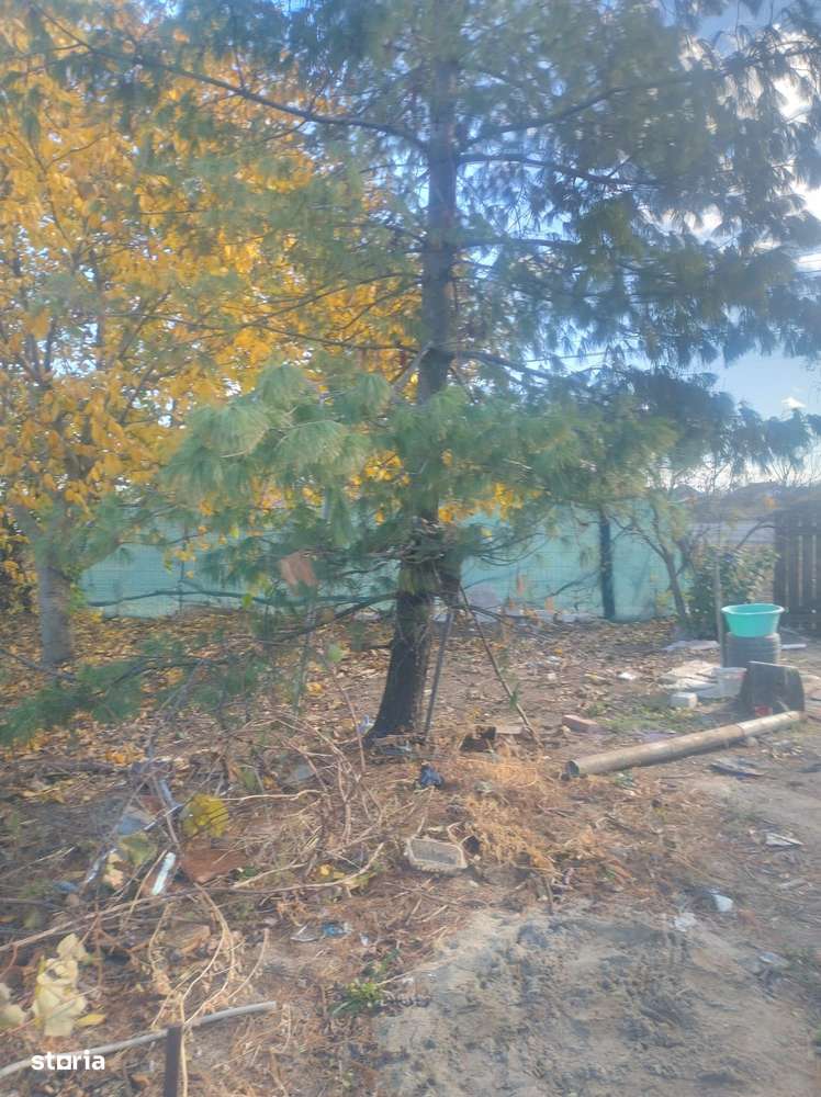 Casă de vânzare în Cenad – aproape de ieșirea spre Ungaria- 739-5