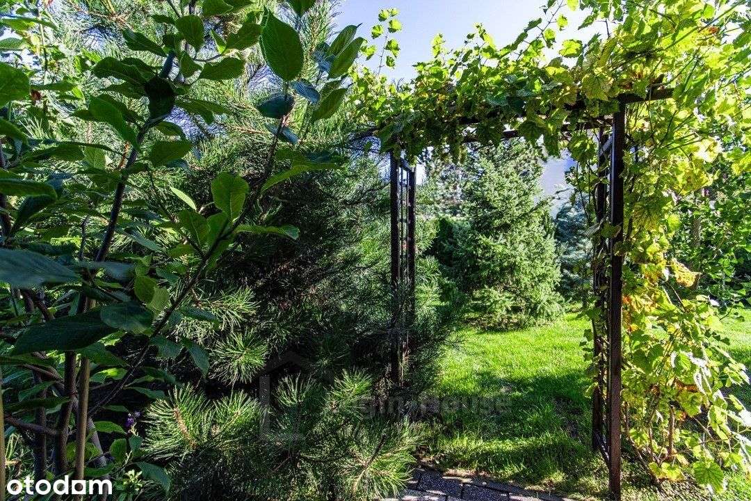 Połówka bliźniaka na Szerokim-19