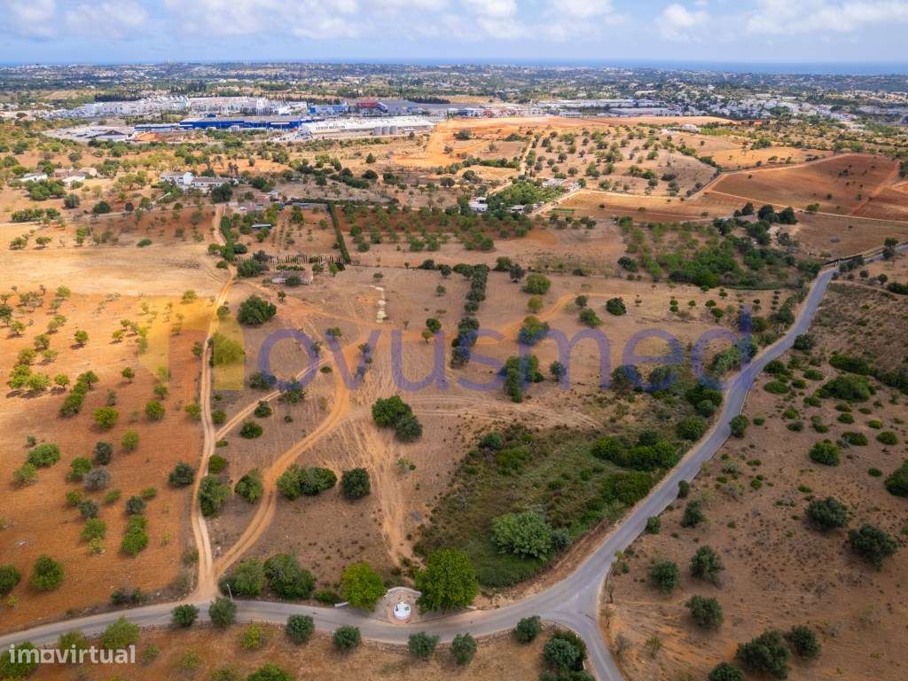 Quinta de 2,1 ha com Potencial para Turismo Rural- Guia Valverde-20