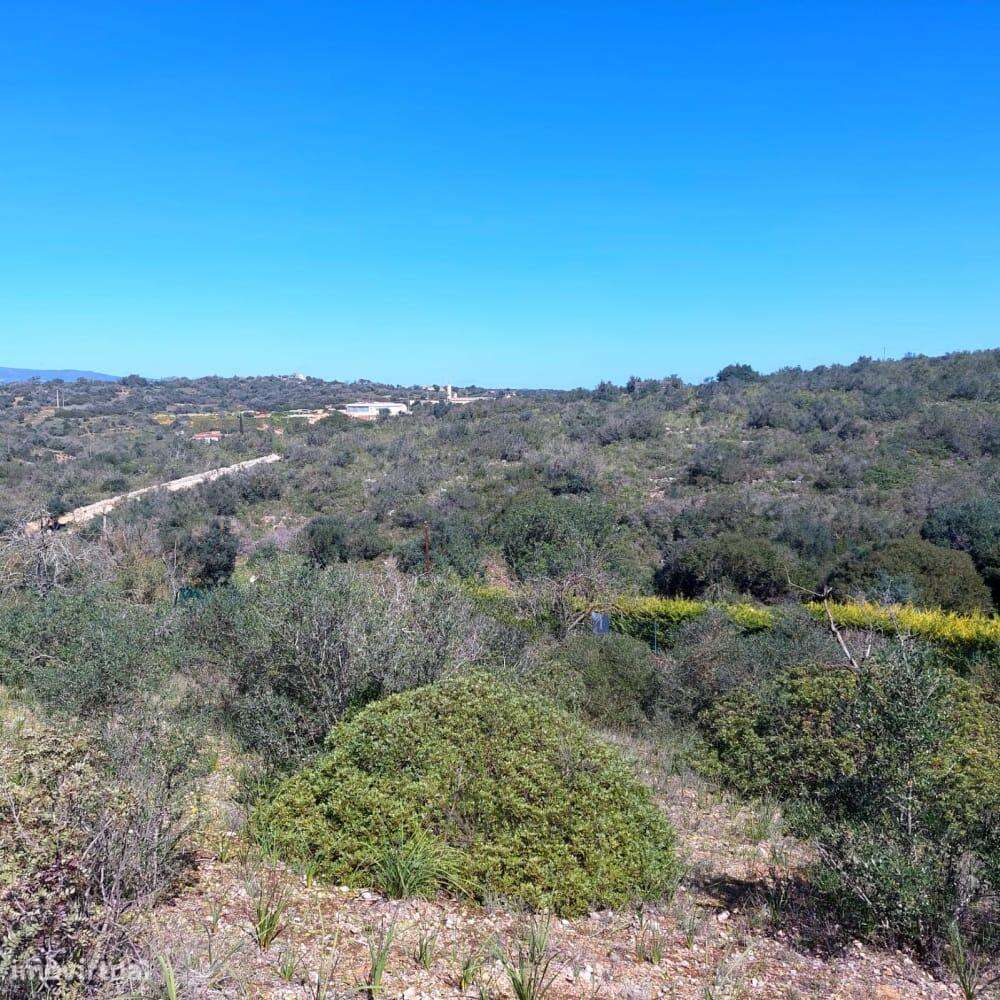 Terreno Rústico - Estômbar - Grande imagem: 5/11