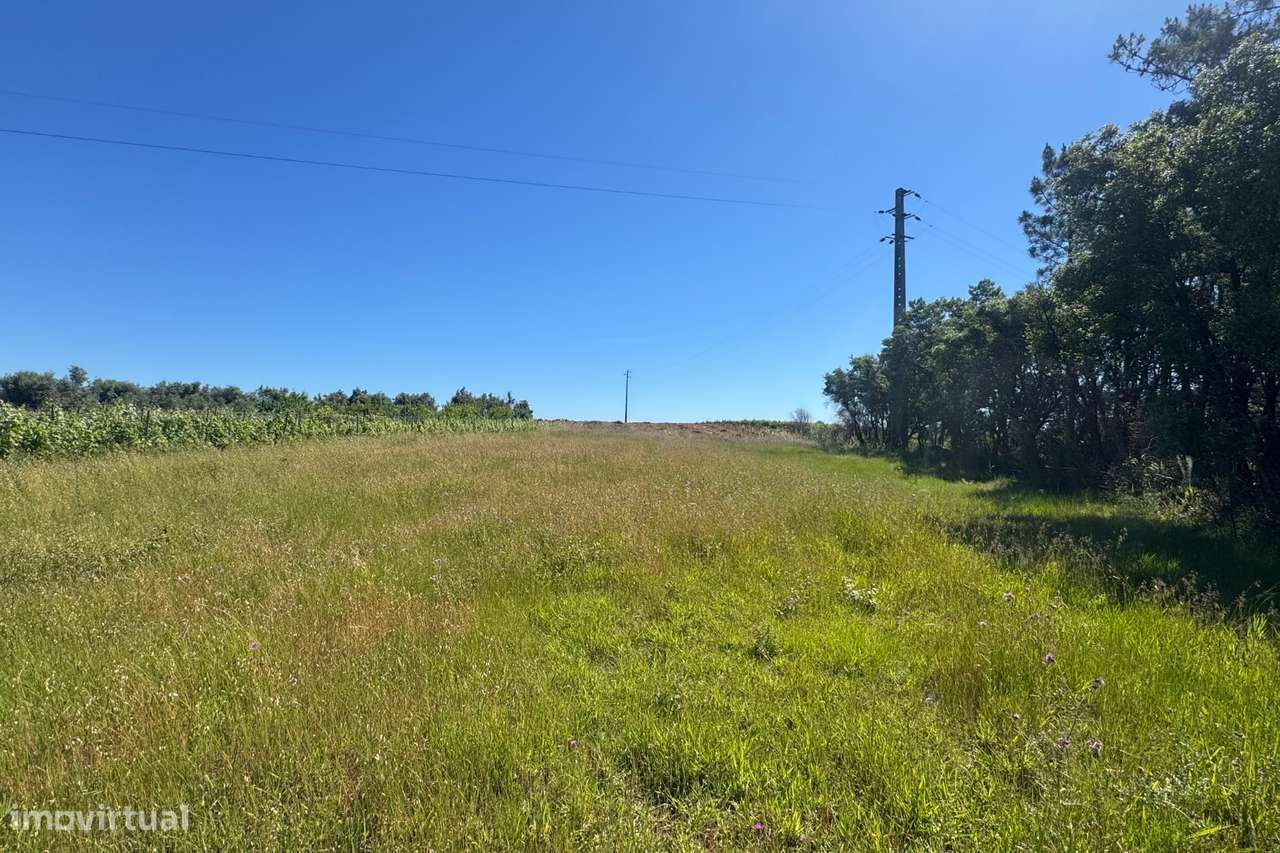 Terreno com viabilidade de construção em São Lourenço do Bairro-7