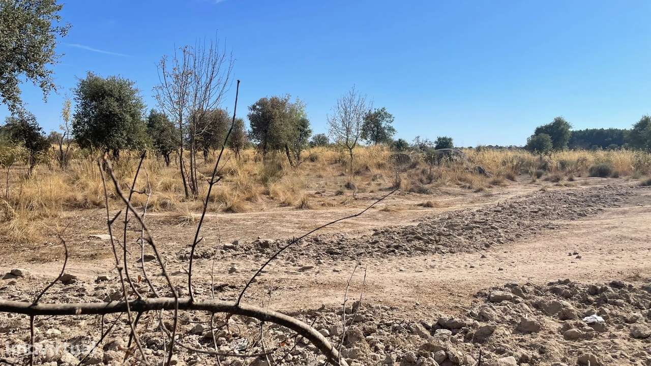 Terreno rústico | Castelo Branco - Grande imagem: 5/10