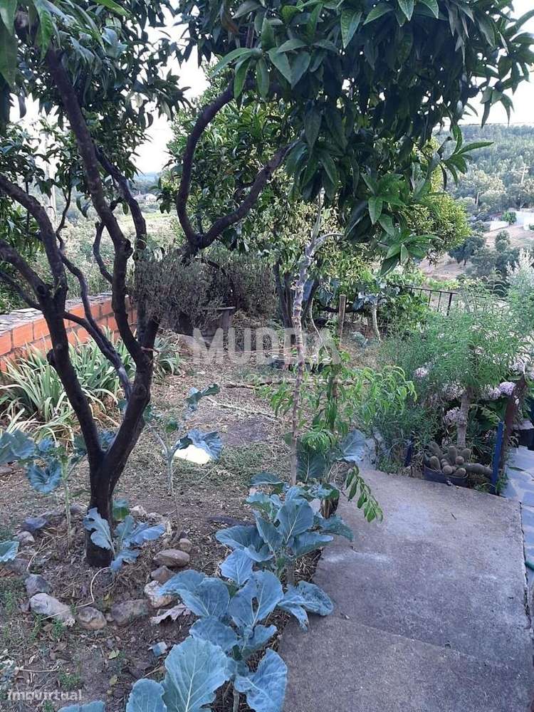 Moradia T2 em Sarzedas-16