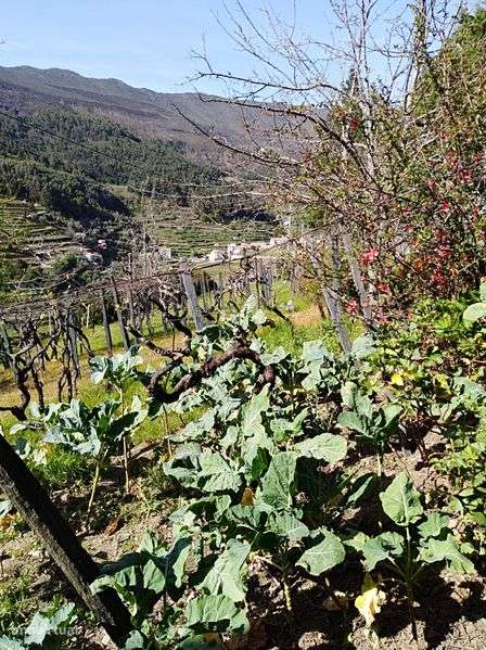 Casa   para  venda . - Grande imagem: 4/6