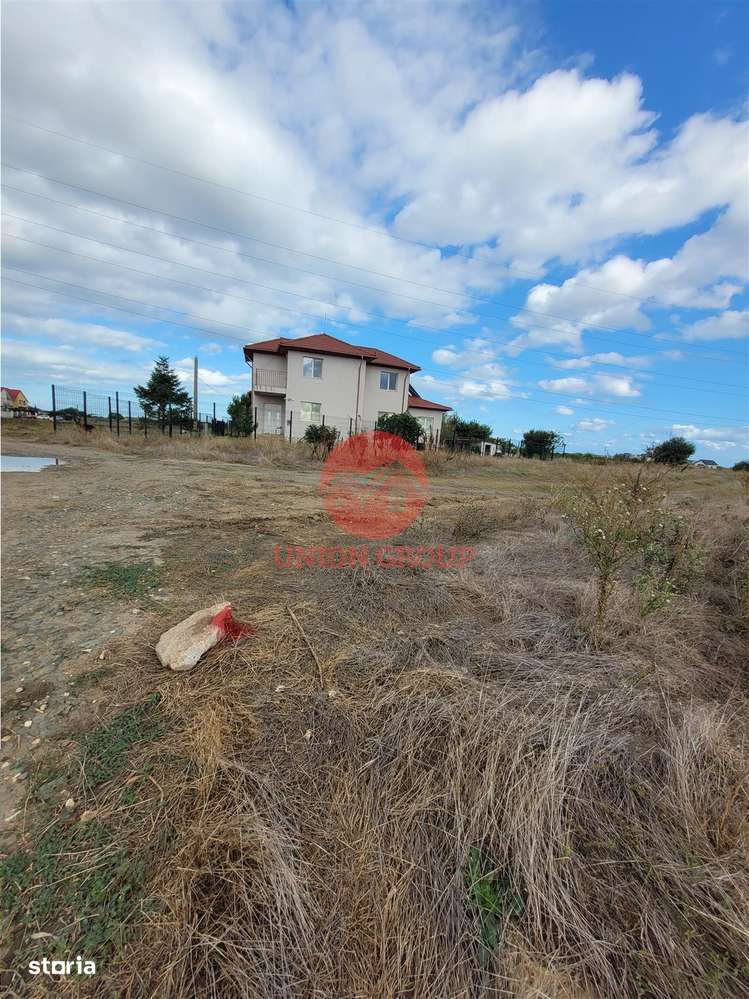 Viitorul Tau Incepe Aici - Teren de 614 mp in Viile Noi - Imagine principală: 2/3