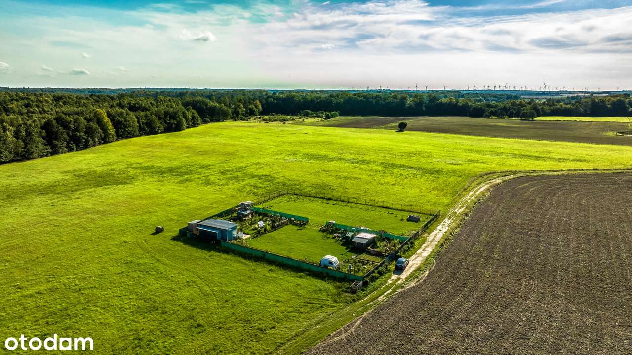 Budowlana bezpośrednio przy ścianie gęstego lasu, możliwe raty 0% - Pełny obrazek: 5/8