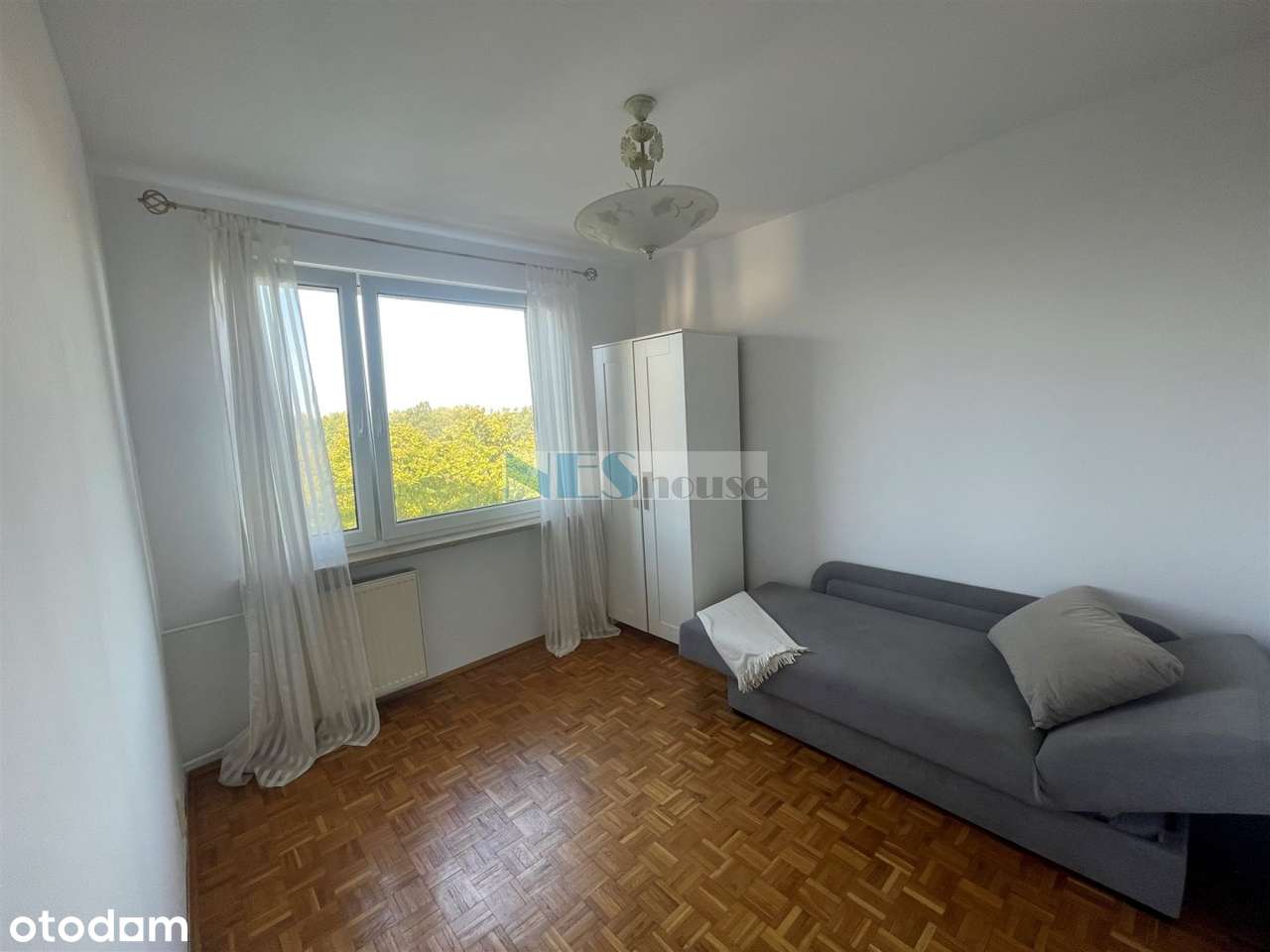 Pełen rozkład, tramwaj!-0