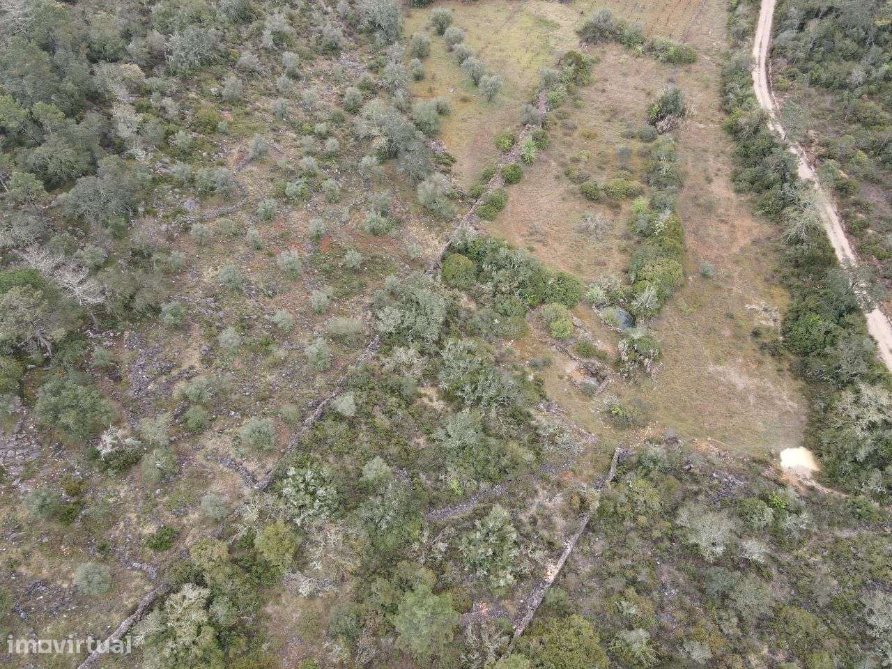 Terreno com Ruína em Alvaiázere! - Grande imagem: 5/18