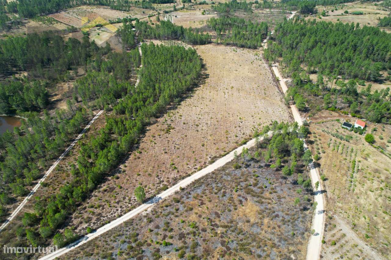 Terreno Rústico  Venda em Sarzedas,Castelo Branco - Grande imagem: 2/12