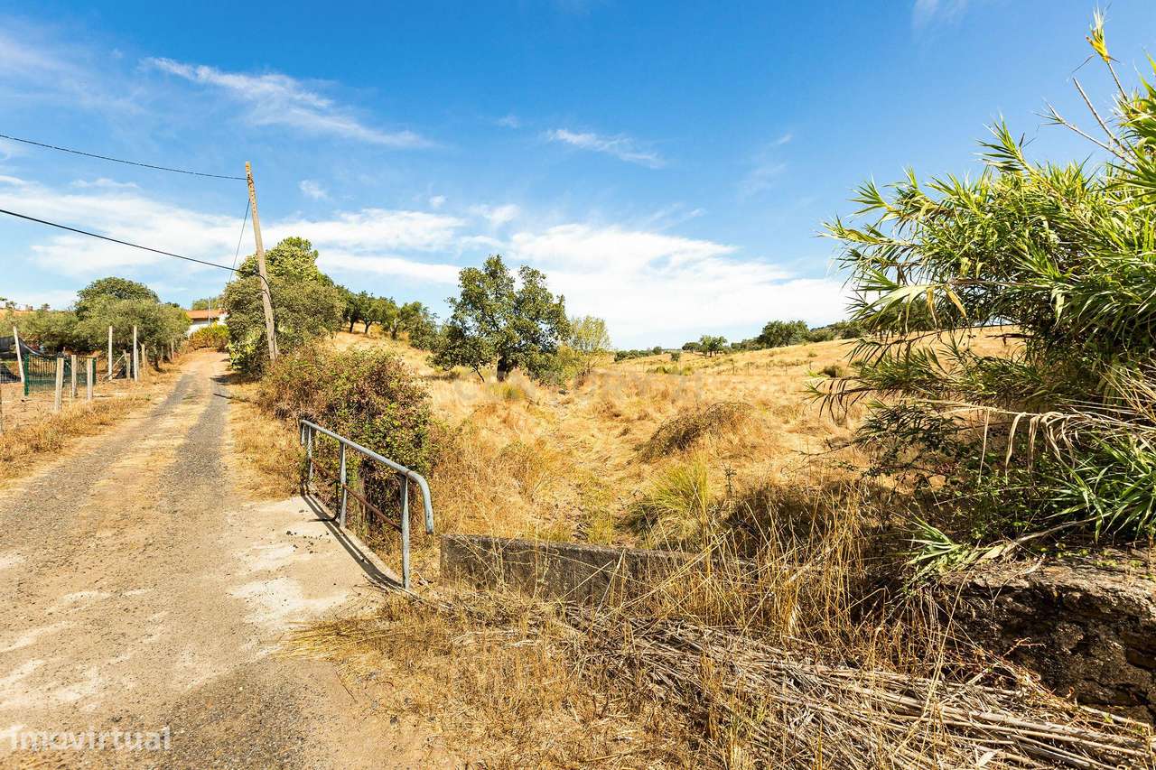 Monte Alentejano com 45 Hectares e Infraestruturas Agrícolas-17