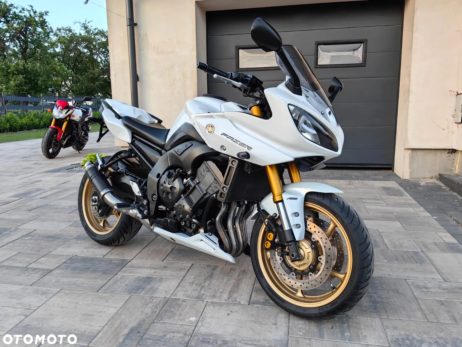 Yamaha FZ8 - 2