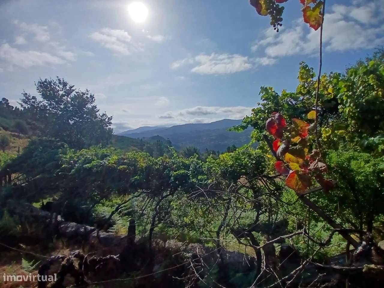 Terreno rústico com casa em pedra para recuperar – Soajo, Arcos de Val-21