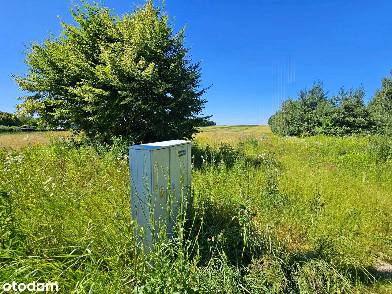 Inwestycja z Projektem GRATIS! Działka 20ar gotowa do zabudowy! - Pełny obrazek: 5/6