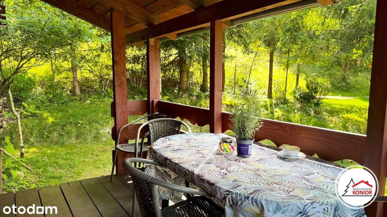 Dom z dala od miasta, w cichej okolicy otoczony lasem - Szczyrk-8