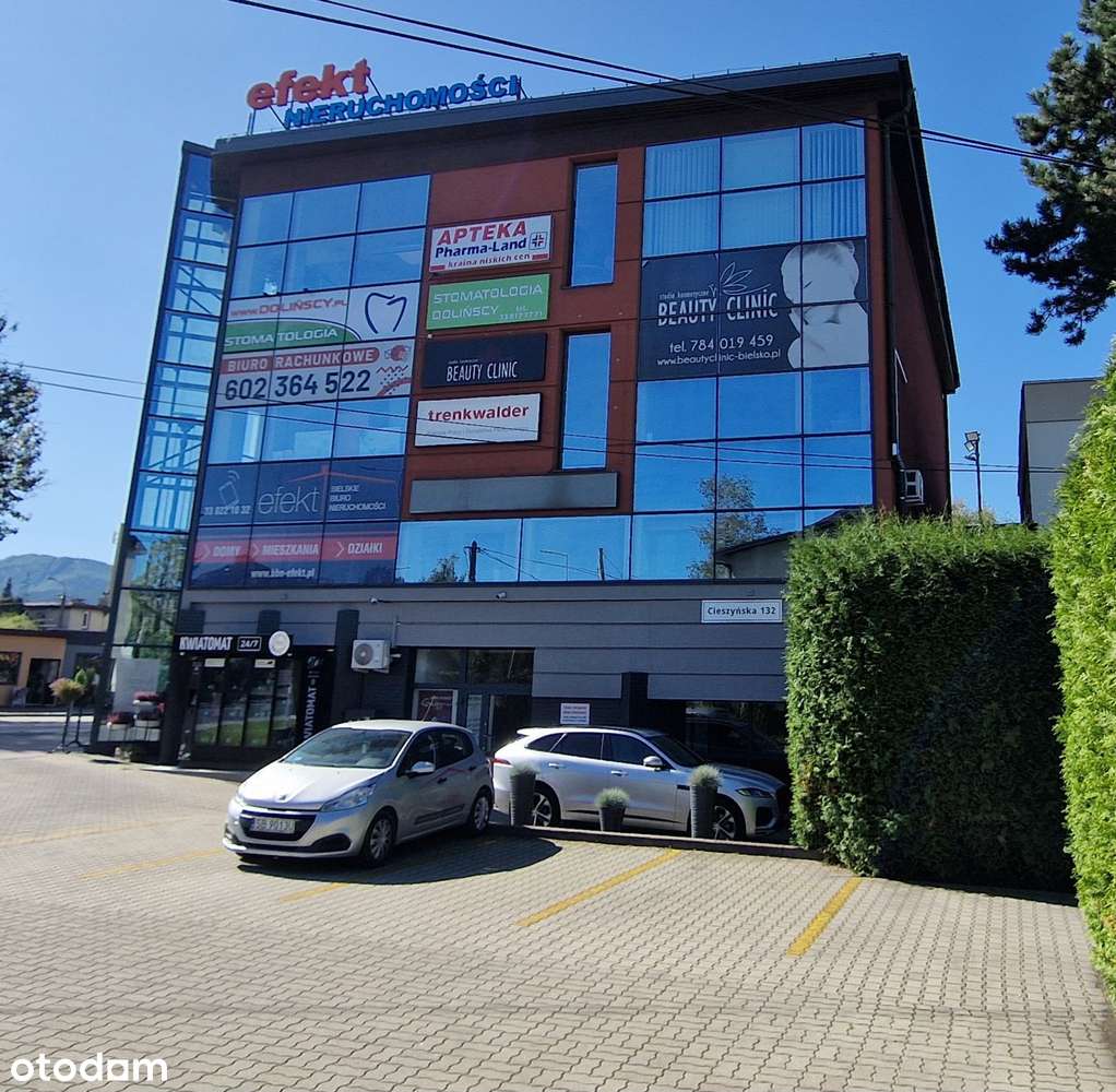 Lokal po znanym biurze nieruchmości - Pełny obrazek: 2/13
