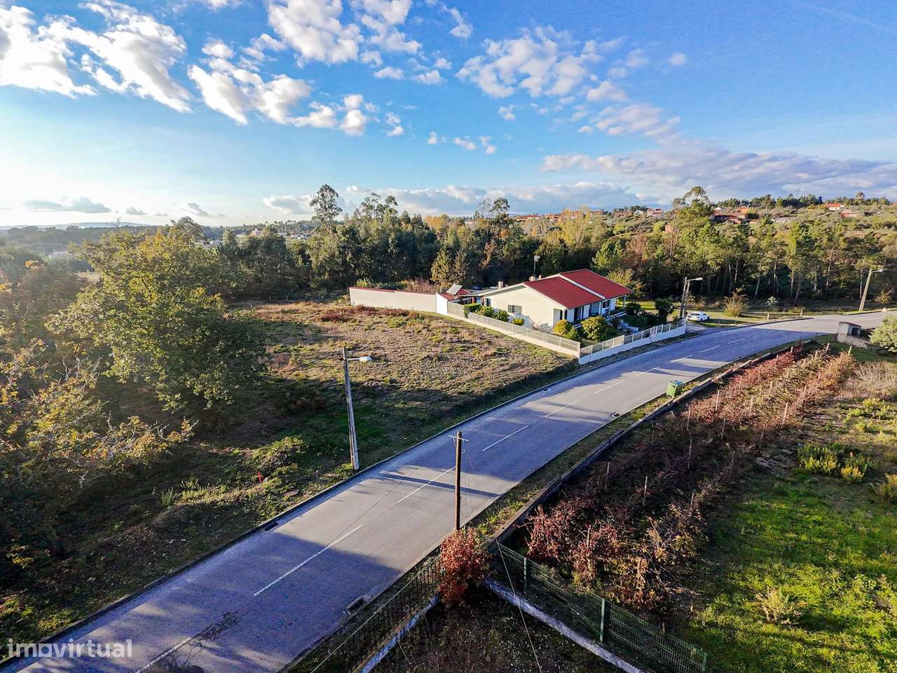 Terreno de 7.912 m2 com Viabilidade de Construção - Tábua - Grande imagem: 5/14