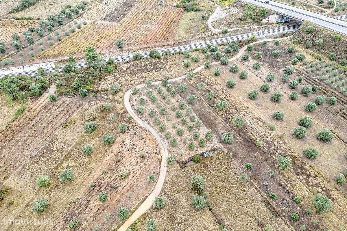 Industrial  para venda - Grande imagem: 5/8