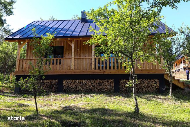 Cabane de vis în Nucșoara, Argeș-1